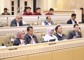 Pengangkatan CPNS dan PPPK Formasi  2024 Ditunda, Ini Alasan MenPAN RB 