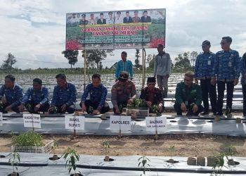 Wabup Gerry: Pemkab Sarolangun Konsisten Bantu Petani Cabe