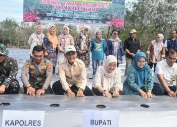 Bupati Sarolangun Hurmin Sebut Gerakan Tanam Cepat  Cabe Dapat Sejahterakan Petani