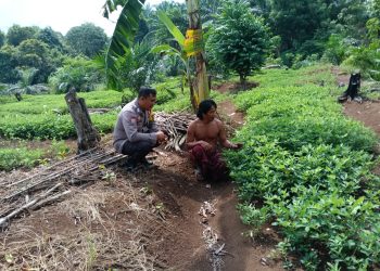 Membumikan POLRI Untuk Masyarakat,  Butuh Sosok Polisi Yang Gercep