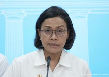 Pemerintah Batal Beri Diskon Tarif Listrik 50 Persen