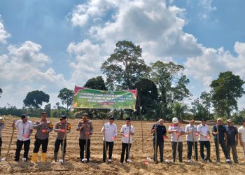 Wakil Bupati Sarolangun Gerry Hadiri Penanaman Jagung Serentak di Desa Lidung