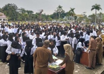 Kenali Perbedaaan PPPK Paruh Waktu Dengan Penuh Waktu